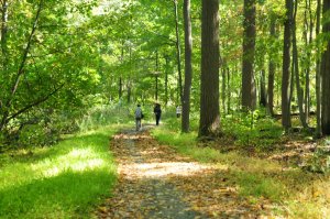 Elite Prep Room and Board - <p>Students walk 6 or 7 miles down the D&R Canal trail almost every weekend</p>