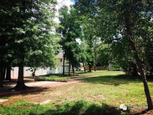 Elite Prep Room and Board - <p>Vegetable patch and in-ground pool next to student houses</p>