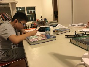 Elite Prep Room and Board - <p>Rocky working on his English homework</p>