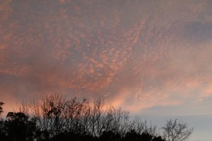 Camping Trip 2017 - <p>Sunset </p>