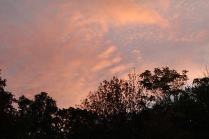 Camping Trip 2017 -
