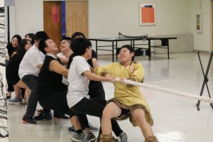 Halloween Party 2017 - <p>Tug-of-war</p>